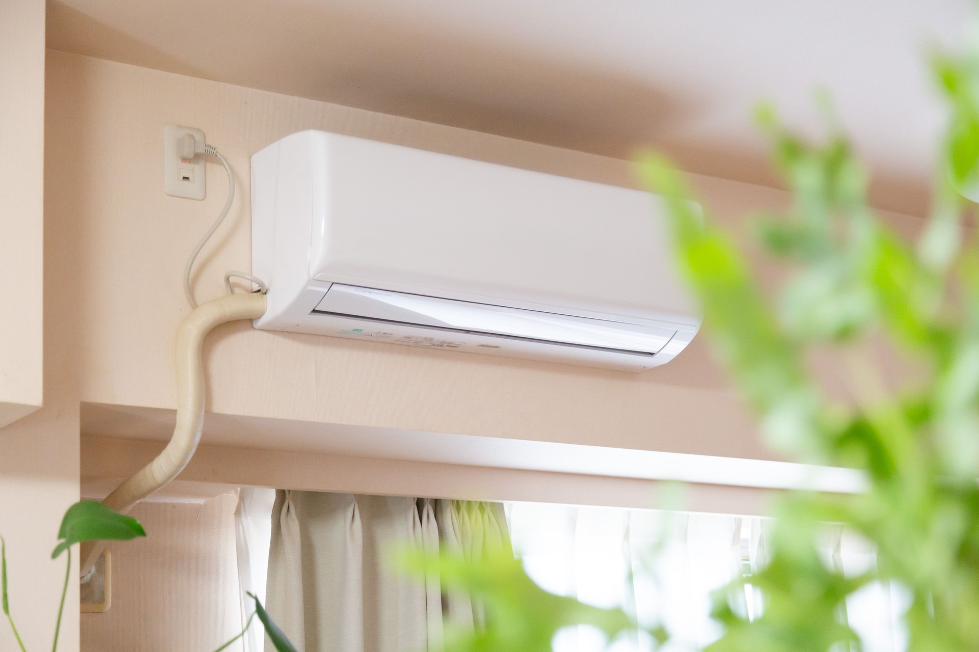 Air conditioner and green plant in the room.